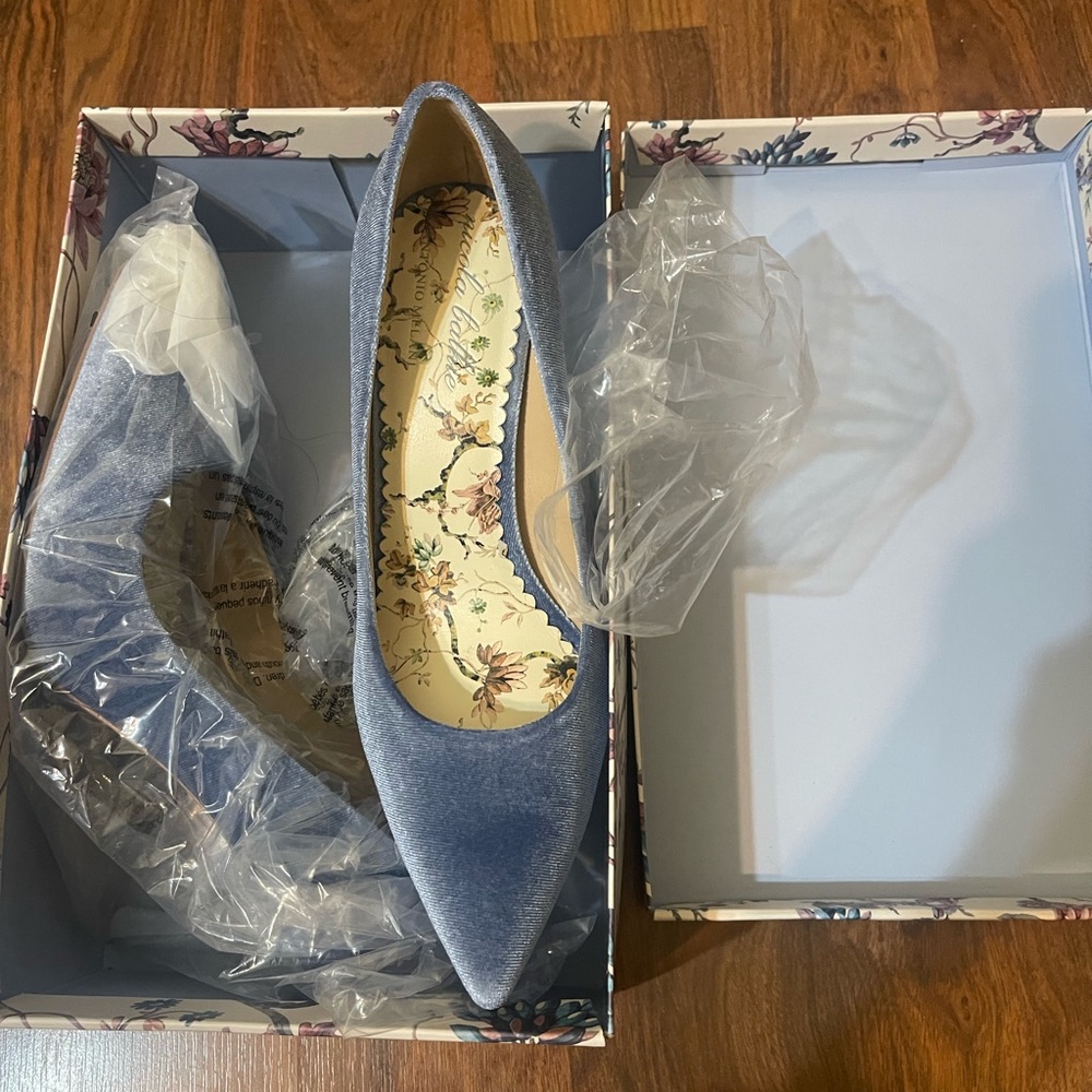 Blue Velvet Women's Shoes